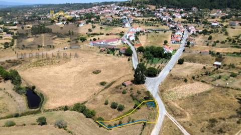 Terreno Rústico  Venda em Salgueiro do Campo,Castelo Branco