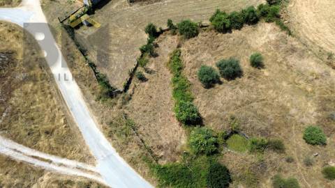 Terreno Rústico  Venda em Salgueiro do Campo,Castelo Branco