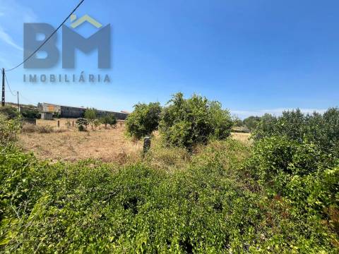 Terreno Rústico  Venda em Salgueiro do Campo,Castelo Branco