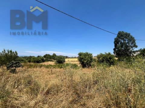 Terreno Rústico  Venda em Salgueiro do Campo,Castelo Branco