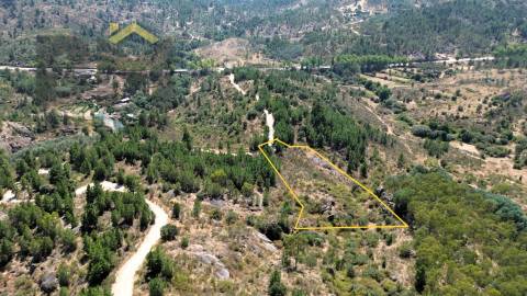 Terreno Rústico  Venda em Póvoa de Rio de Moinhos e Cafede,Castelo Branco