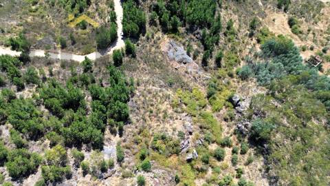 Terreno Rústico  Venda em Póvoa de Rio de Moinhos e Cafede,Castelo Branco