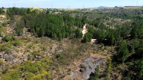 Terreno Rústico  Venda em Póvoa de Rio de Moinhos e Cafede,Castelo Branco