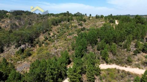 Terreno Rústico  Venda em Póvoa de Rio de Moinhos e Cafede,Castelo Branco