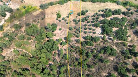 Terreno Rústico  Venda em Salgueiro do Campo,Castelo Branco