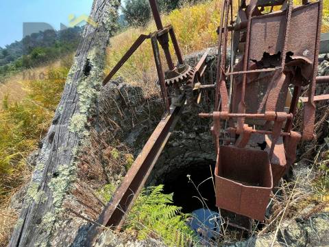 Terreno Rústico  Venda em Salgueiro do Campo,Castelo Branco