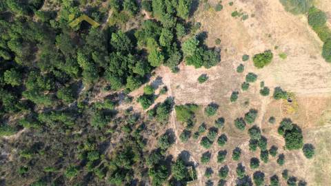Terreno Rústico  Venda em Salgueiro do Campo,Castelo Branco