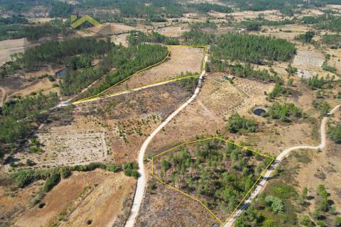 Terreno Rústico  Venda em Sarzedas,Castelo Branco