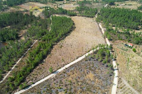 Terreno Rústico  Venda em Sarzedas,Castelo Branco