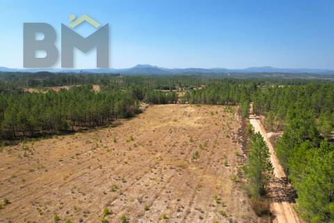 Terreno Rústico  Venda em Sarzedas,Castelo Branco