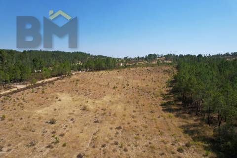 Terreno Rústico  Venda em Sarzedas,Castelo Branco