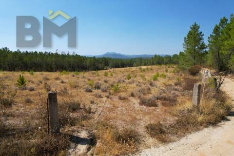 Terreno Rústico  Venda em Sarzedas,Castelo Branco