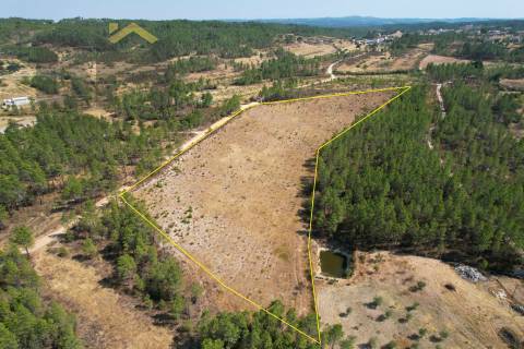 Terreno Rústico  Venda em Sarzedas,Castelo Branco
