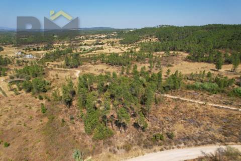 Terreno Rústico  Venda em Sarzedas,Castelo Branco
