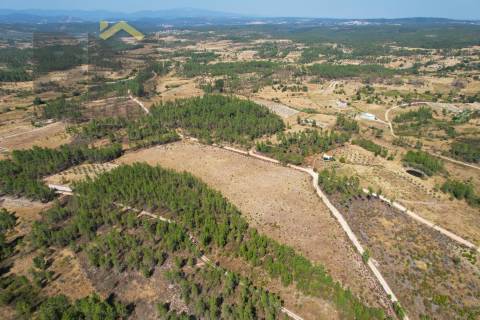 Terreno Rústico  Venda em Sarzedas,Castelo Branco