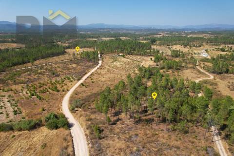 Terreno Rústico  Venda em Sarzedas,Castelo Branco