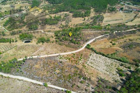 Terreno Rústico  Venda em Sarzedas,Castelo Branco