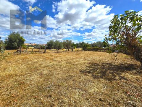 Terreno Rústico  Venda em Escalos de Cima e Lousa,Castelo Branco