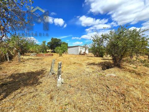 Terreno Rústico  Venda em Escalos de Cima e Lousa,Castelo Branco