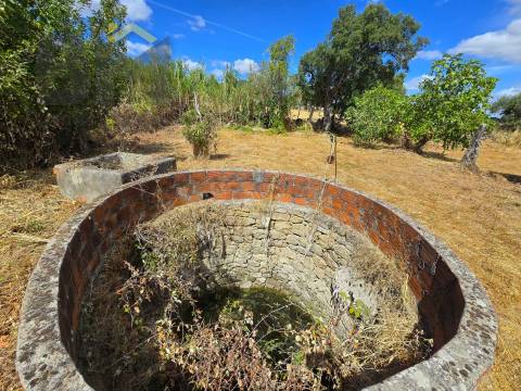 Terreno Rústico  Venda em Escalos de Cima e Lousa,Castelo Branco