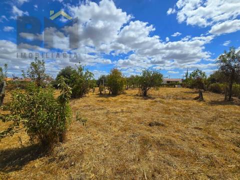 Terreno Rústico  Venda em Escalos de Cima e Lousa,Castelo Branco