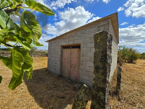 Terreno Rústico  Venda em Escalos de Cima e Lousa,Castelo Branco