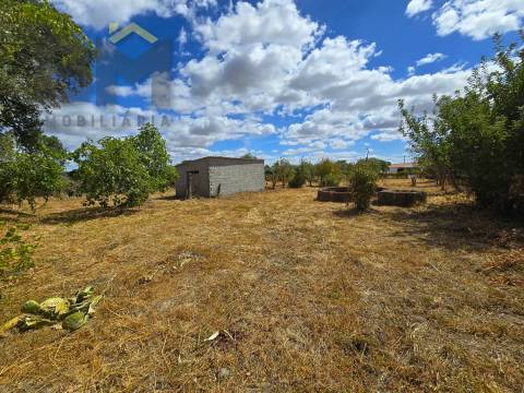 Terreno Rústico  Venda em Escalos de Cima e Lousa,Castelo Branco