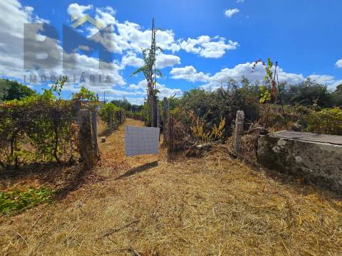 Terreno Rústico  Venda em Escalos de Cima e Lousa,Castelo Branco