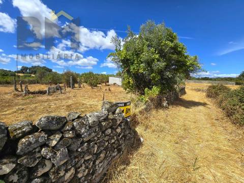 Terreno Rústico  Venda em Escalos de Cima e Lousa,Castelo Branco
