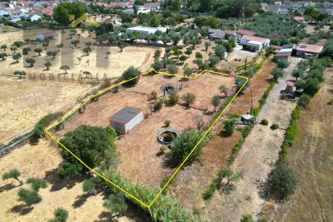Terreno Rústico  Venda em Escalos de Cima e Lousa,Castelo Branco