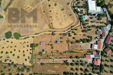 Terreno Rústico  Venda em Escalos de Cima e Lousa,Castelo Branco
