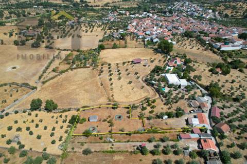 Terreno Rústico  Venda em Escalos de Cima e Lousa,Castelo Branco