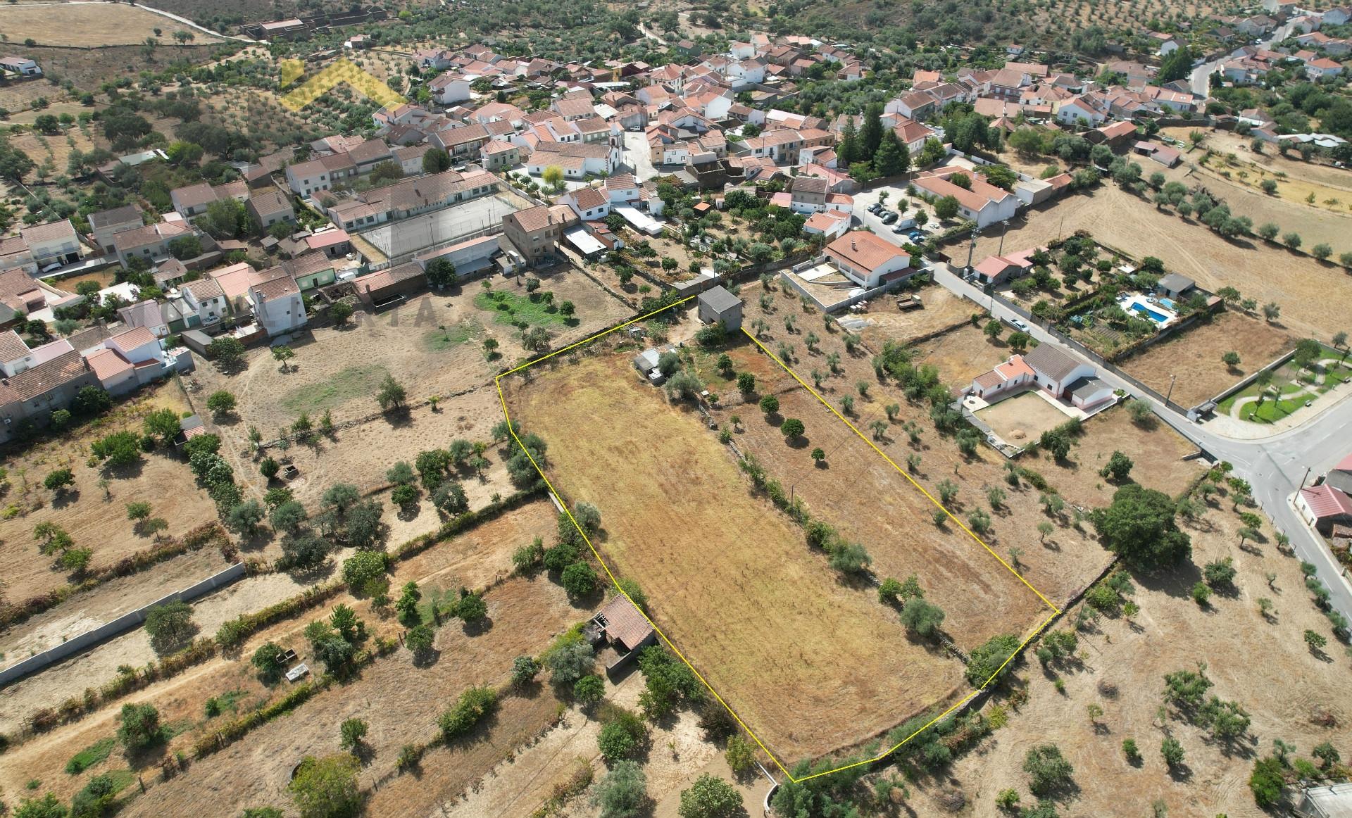 Terreno Rústico  Venda em Escalos de Baixo e Mata,Castelo Branco