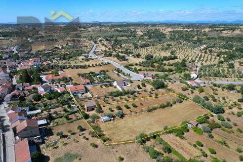 Terreno Rústico  Venda em Escalos de Baixo e Mata,Castelo Branco
