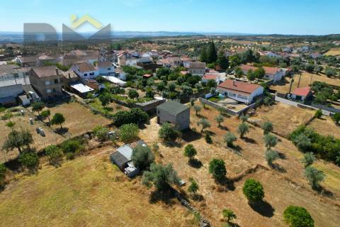 Terreno Rústico  Venda em Escalos de Baixo e Mata,Castelo Branco