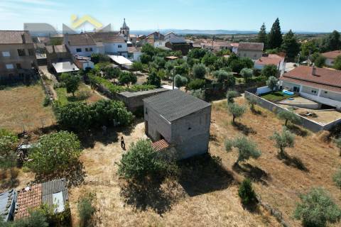 Terreno Rústico  Venda em Escalos de Baixo e Mata,Castelo Branco