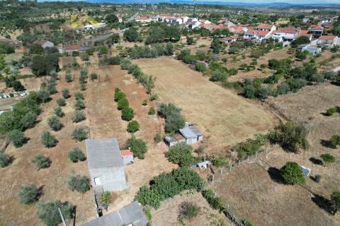 Terreno Rústico  Venda em Escalos de Baixo e Mata,Castelo Branco