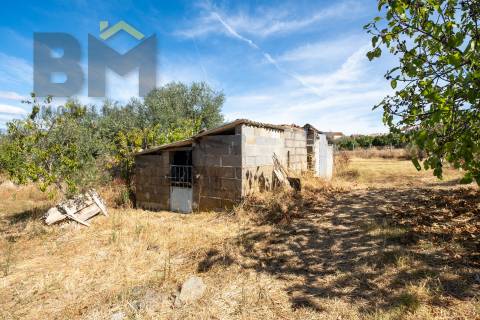 Terreno Rústico  Venda em Escalos de Baixo e Mata,Castelo Branco