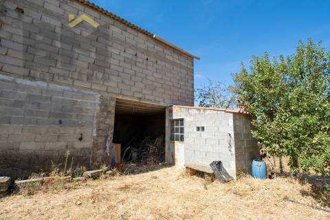 Terreno Rústico  Venda em Escalos de Baixo e Mata,Castelo Branco