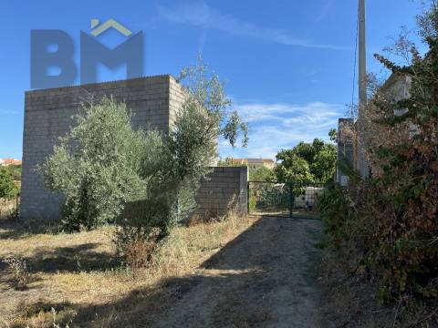 Terreno Rústico  Venda em Escalos de Baixo e Mata,Castelo Branco