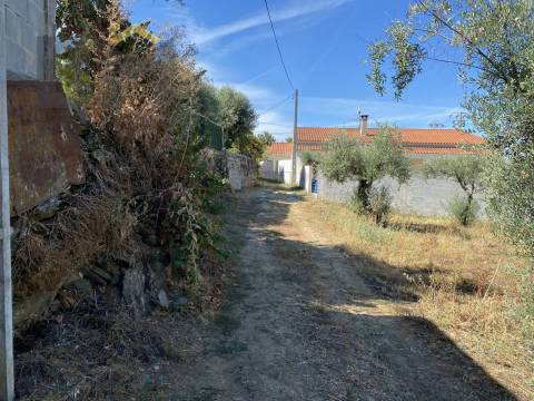 Terreno Rústico  Venda em Escalos de Baixo e Mata,Castelo Branco