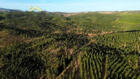 Herdade  Venda em Ninho do Açor e Sobral do Campo,Castelo Branco