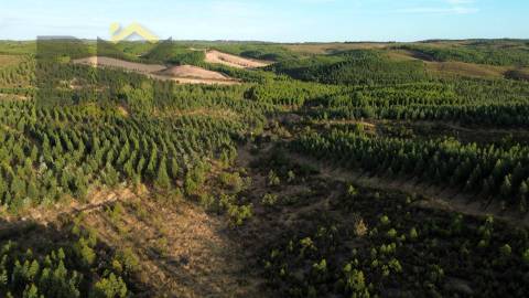 Herdade  Venda em Ninho do Açor e Sobral do Campo,Castelo Branco