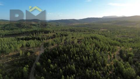 Herdade  Venda em Ninho do Açor e Sobral do Campo,Castelo Branco