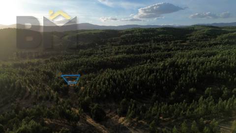 Herdade  Venda em Ninho do Açor e Sobral do Campo,Castelo Branco