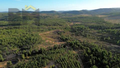 Herdade  Venda em Ninho do Açor e Sobral do Campo,Castelo Branco