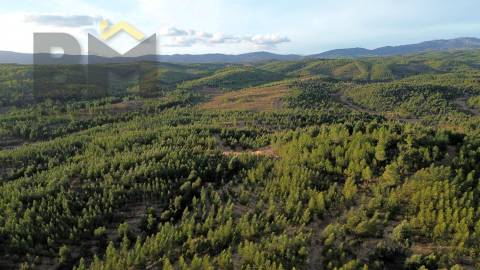 Herdade  Venda em Ninho do Açor e Sobral do Campo,Castelo Branco