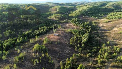 Herdade  Venda em Ninho do Açor e Sobral do Campo,Castelo Branco