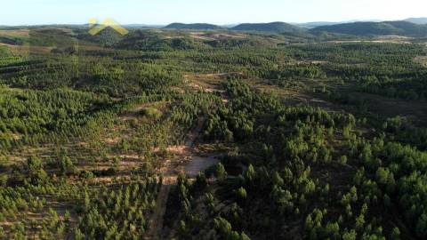Herdade  Venda em Ninho do Açor e Sobral do Campo,Castelo Branco