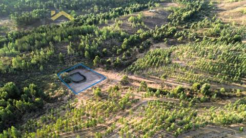 Herdade  Venda em Ninho do Açor e Sobral do Campo,Castelo Branco